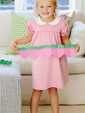 EUC size 4T TBBC Holly Day Pink Peter Pan Collar Dress